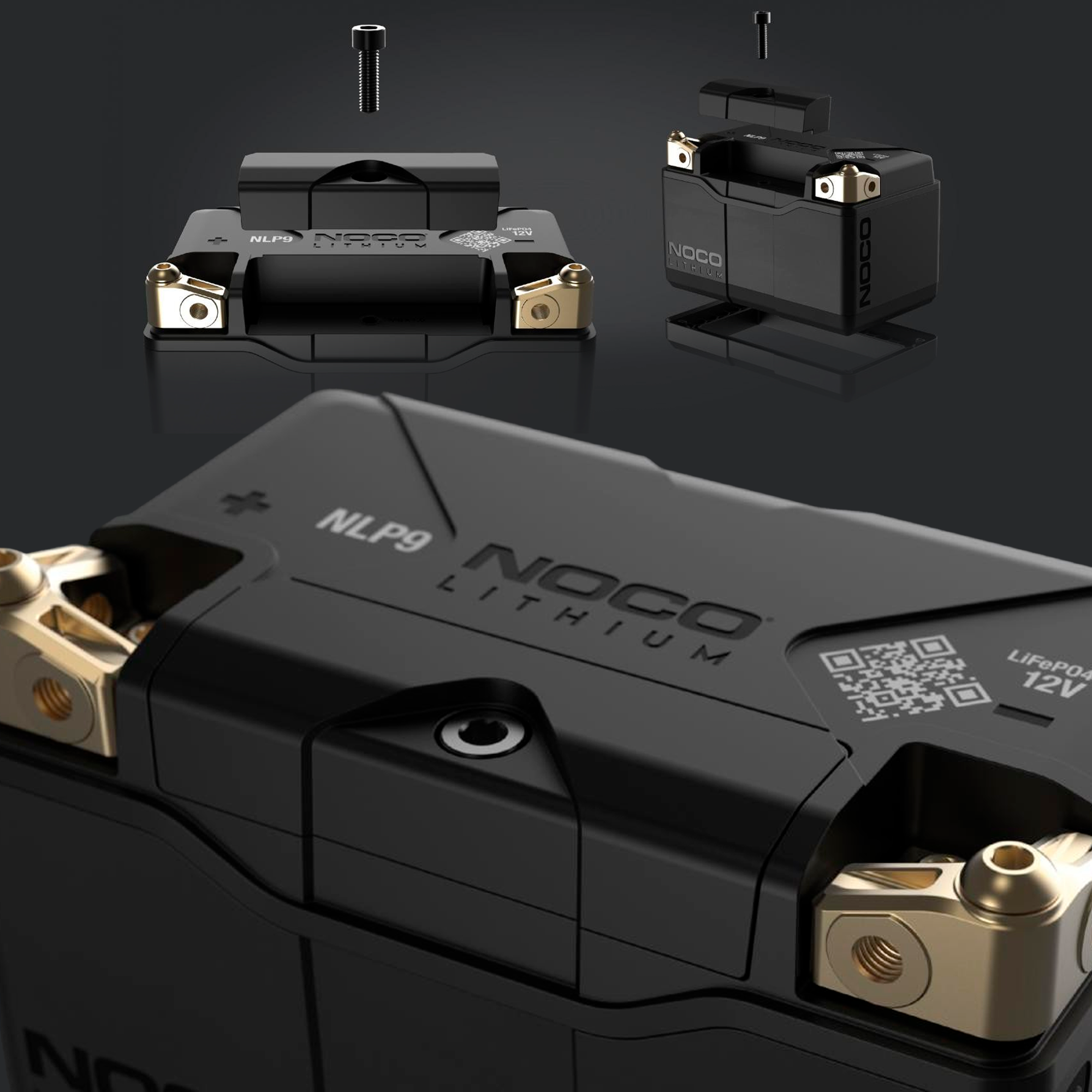 NLP9 001